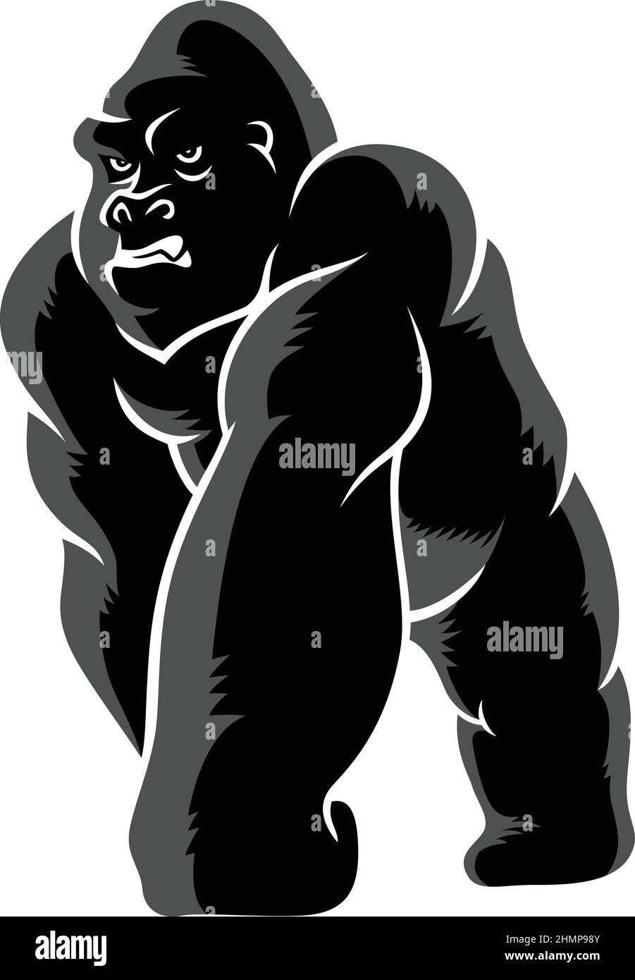 Gorilla simple debout avec vecteur d'expression agressif Illustration de Vecteur