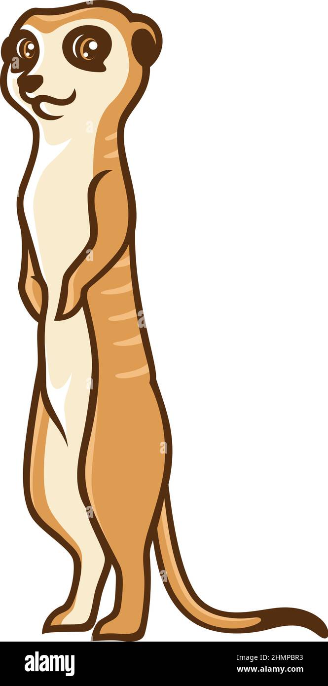 Un mignon Meerkat debout sur ses jambes de dos Illustration de Vecteur