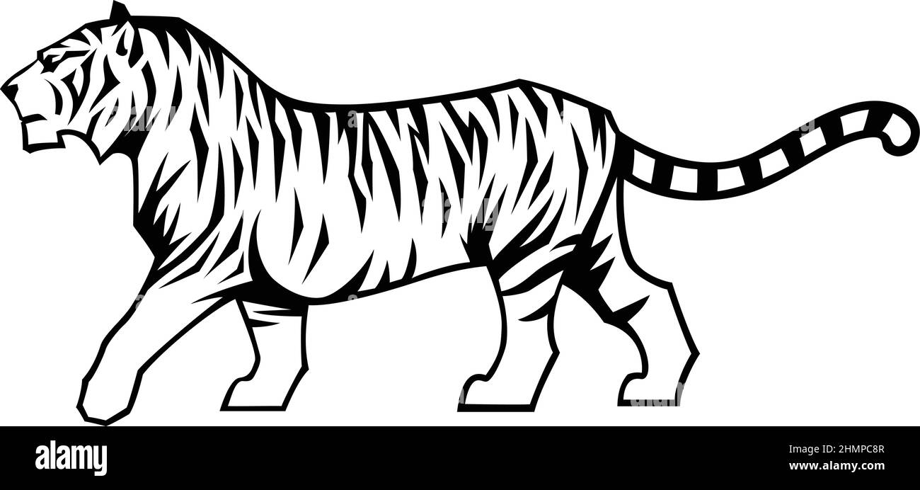 Motif tigre de marche simple et tendance Illustration de Vecteur