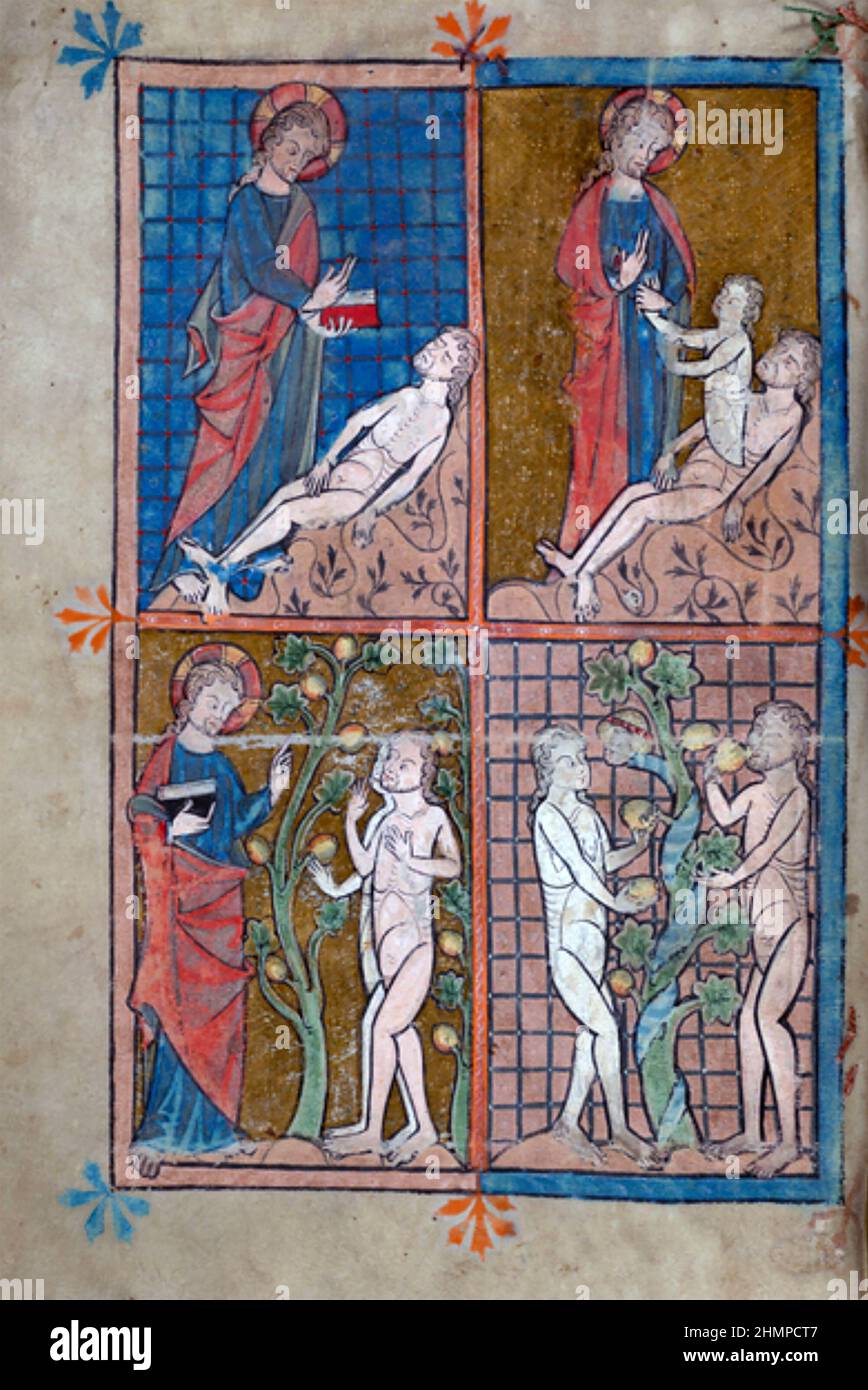 LA CRÉATION avec Adam et Eve. Manuscrit médiéval. Banque D'Images
