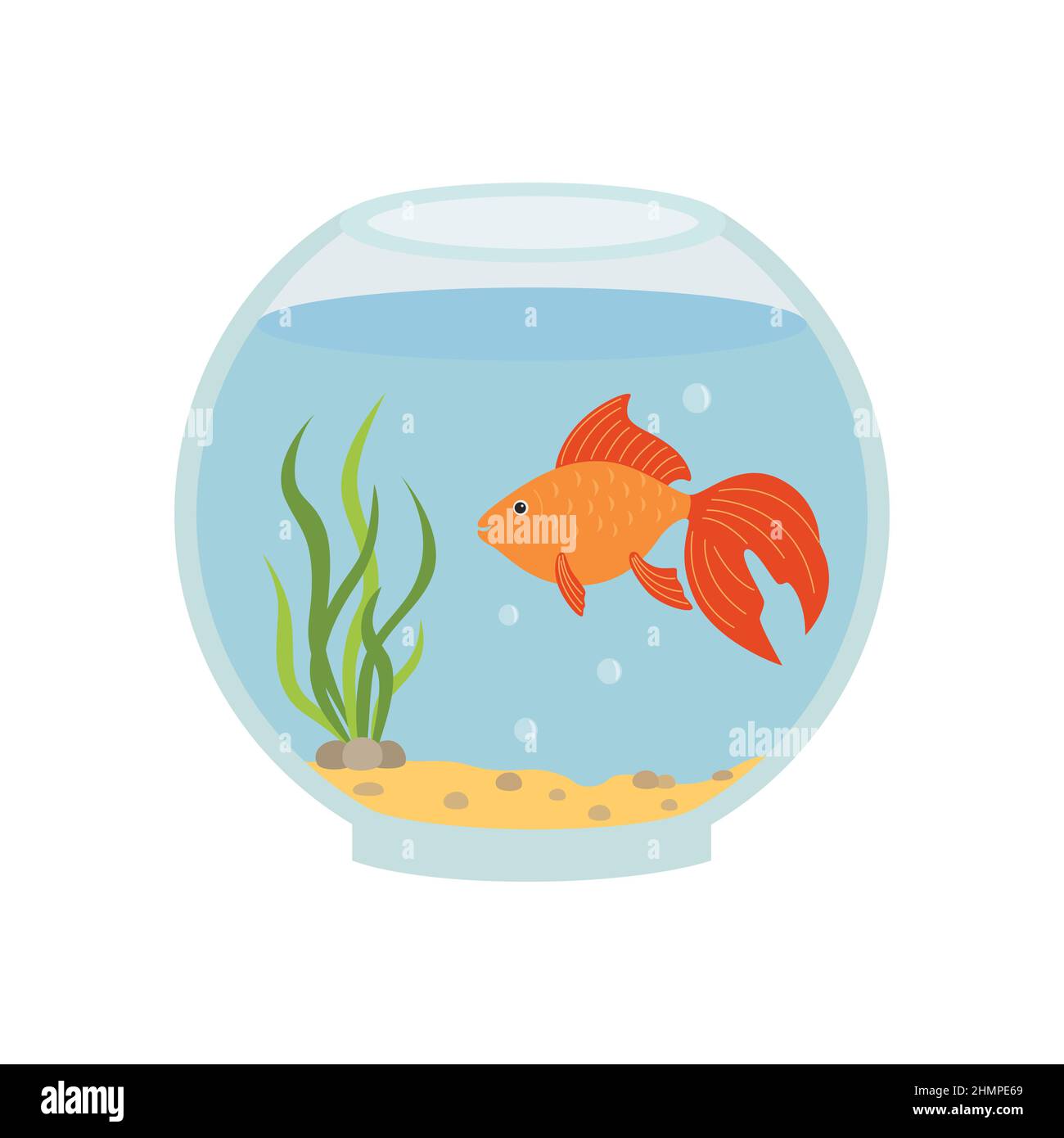 Aquarium rond avec poissons rouges. Illustration vectorielle isolée. Illustration de Vecteur