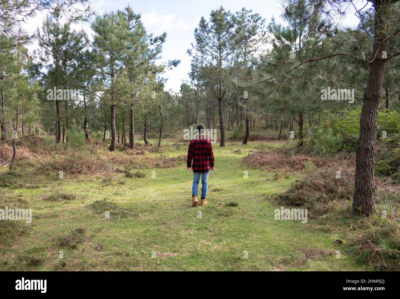 Vue arrière d'un homme dans un maillot de bûcherons marchant dans une forêt, Espagne Banque D'Images