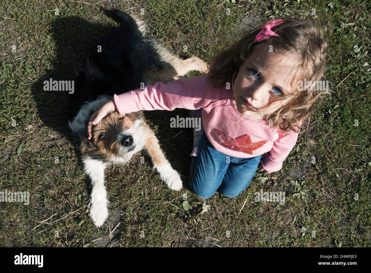 Vue de dessus d'une fille assise sur la pelouse qui a boué son chien Banque D'Images