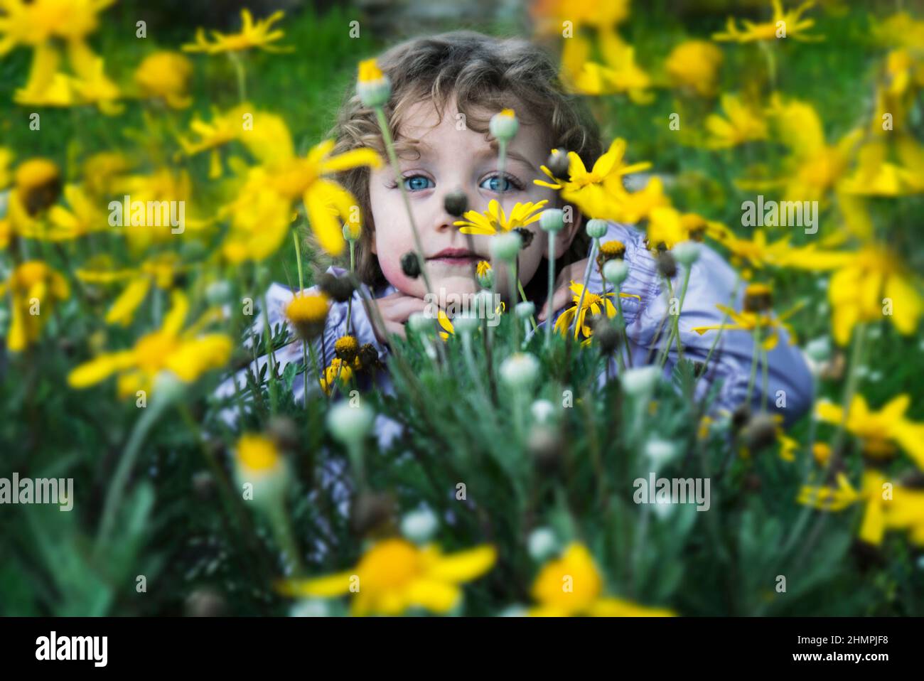 Fille souriante couchée dans un pré de fleurs sauvages, Italie Banque D'Images