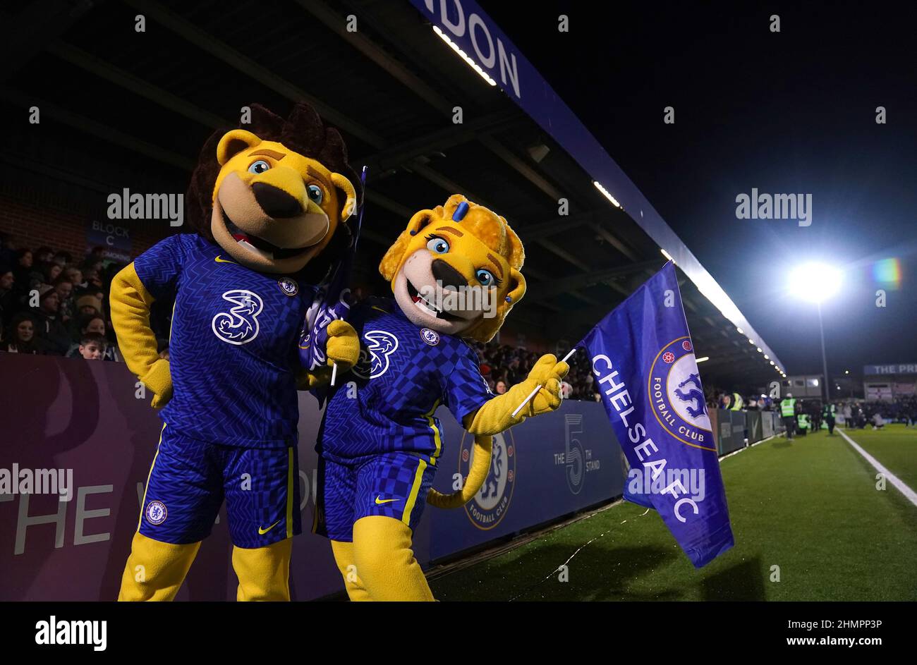 Les mascottes de Chelsea Stamford The Lion et Bridget The Lioness pendant le match de la Super League féminine de Barclays FA à Kingsmeadow, Londres. Date de la photo : vendredi 11 février 2022. Banque D'Images