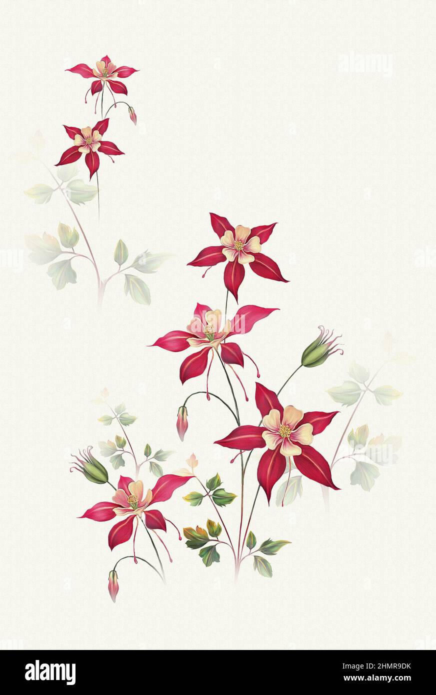 Fleurs peintes en botanique, bouquet floral Banque D'Images