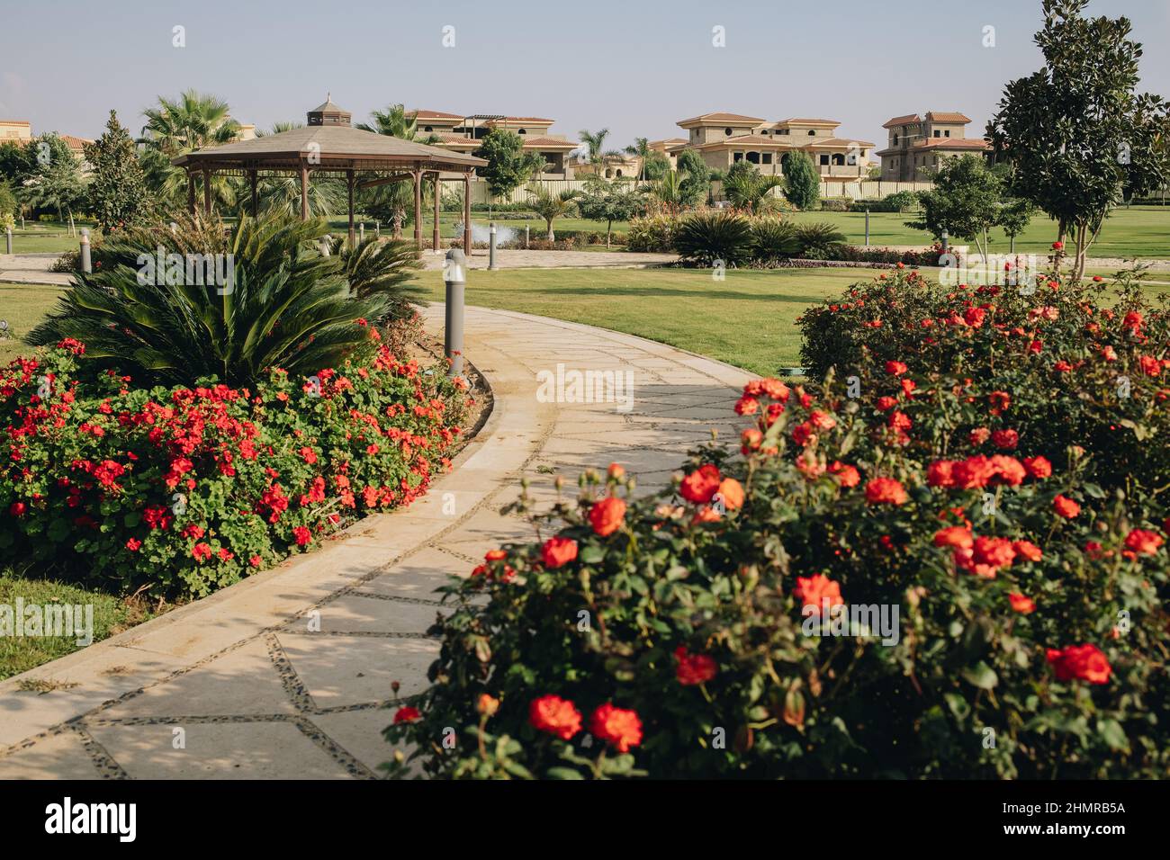 Nouveau Caire, Egypte - 11.21.2021: Beau jardin et villas à Madinaty composé, vie de luxe en Egypte, fleurs buissons Banque D'Images