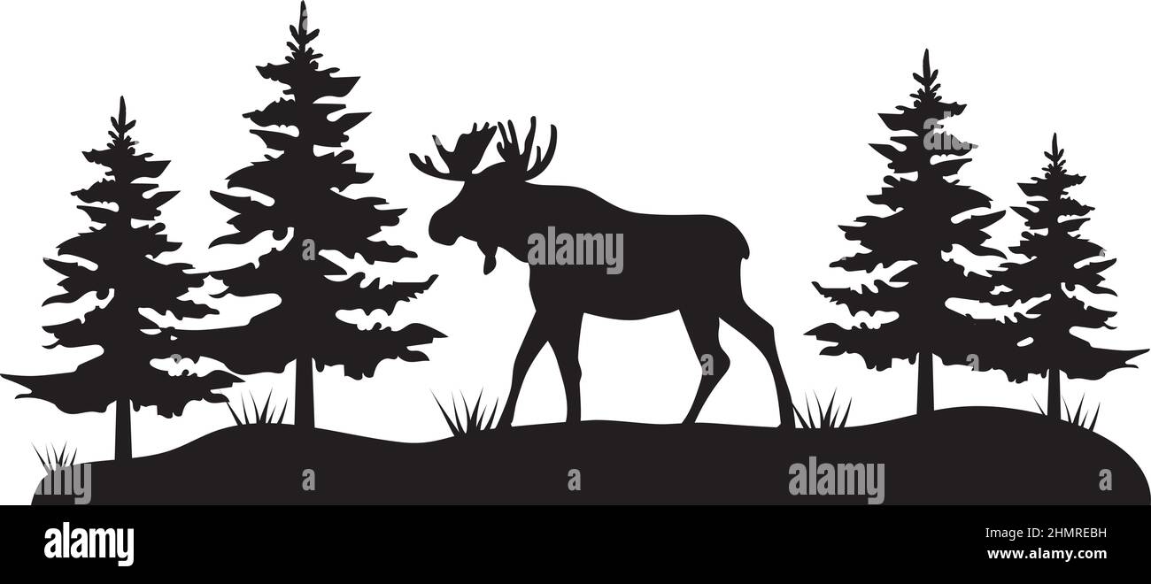 Vecteur Illustration d'un orignal dans les bois, silhouette. Illustration de Vecteur Vecteur Illustration d'un orignal dans les bois, silhouette. Illustration de Vecteur