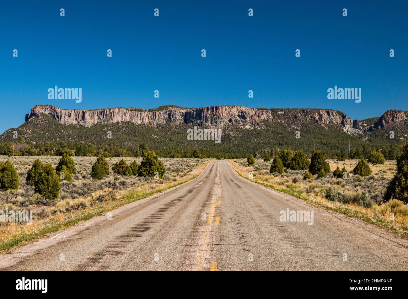 Plateau sans nom dans les montagnes de Chuska, route indienne 12, Dine Tah Atean the People Scenic Road, près de Crystal, nation Navajo, Nouveau-Mexique, États-Unis Banque D'Images