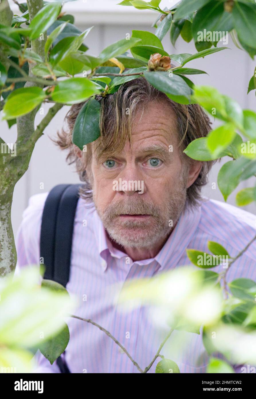 WILLIAM H. MACY dans SHAMELESS (2011), dirigé par MARK MYLOD. Credit: SHOWTIME NETWORKS / Album Banque D'Images