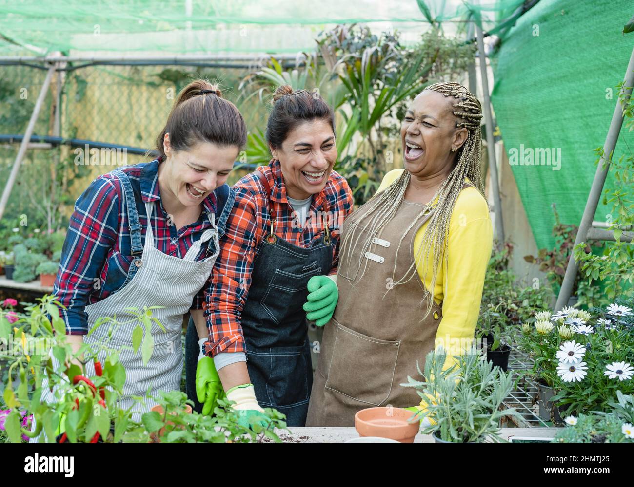 Joyeux jardiniers multiraciaux s'amusant à travailler dans la boutique de plantes et de fleurs Banque D'Images