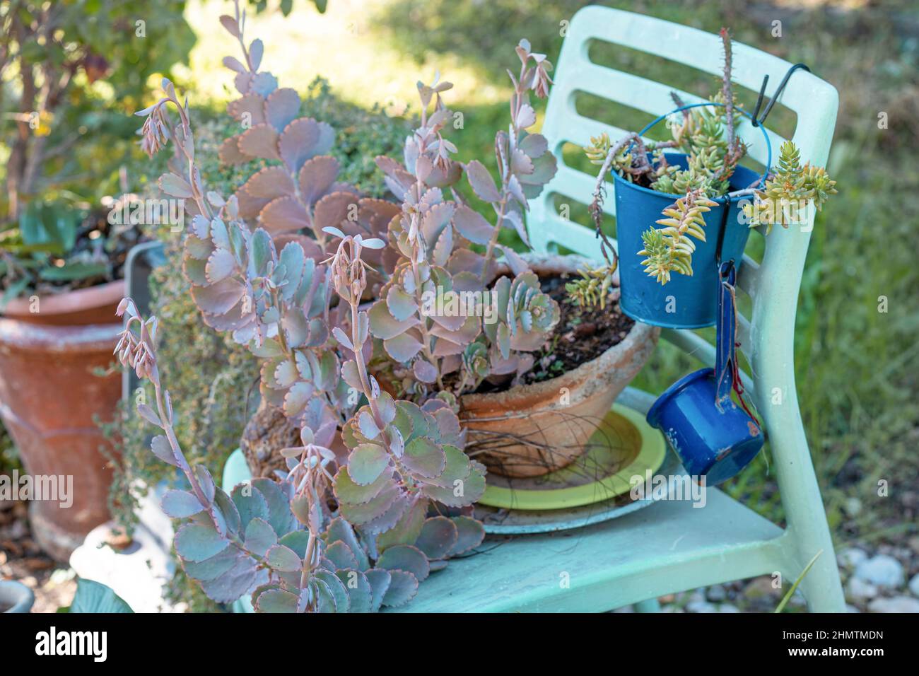 Ancien fauteuil, ancien seau à l'utilisation pour les arrangements floraux. Design de jardin recyclé, style de vie durable, bricolage, économie circulaire et style de vie à faible gaspillage. Banque D'Images
