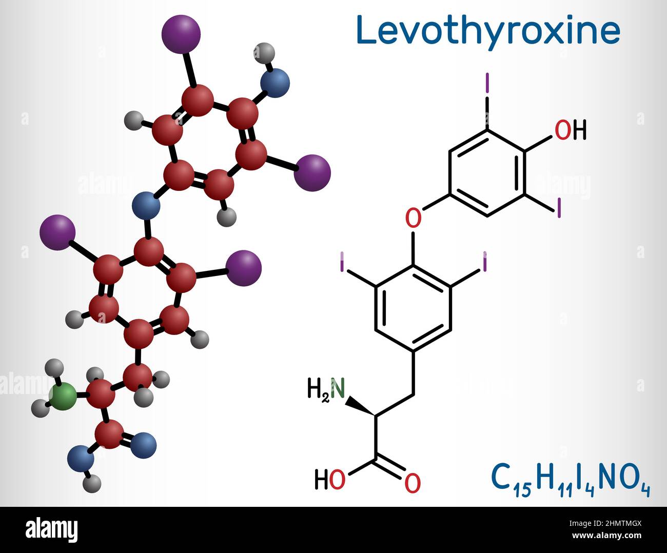 Lévothyroxine, molécule de Lthyroxine. Il s'agit de la forme