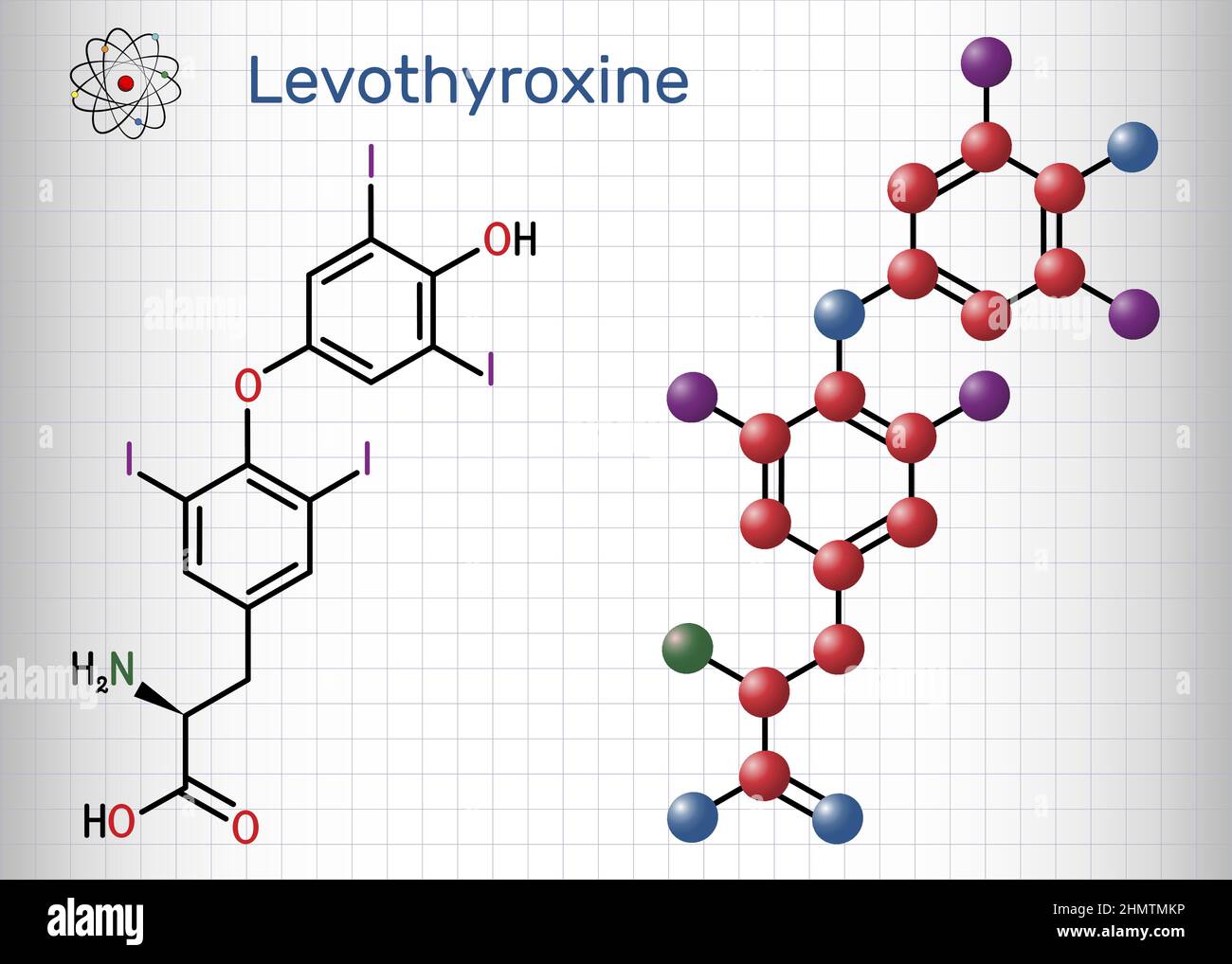 Lévothyroxine, molécule de L-thyroxine. Il s'agit de la forme synthétique de l'hormone thyroïdienne thyroxine, T4 hormone, utilisée pour traiter l'hypothyroïdie. Chimie structurelle Illustration de Vecteur