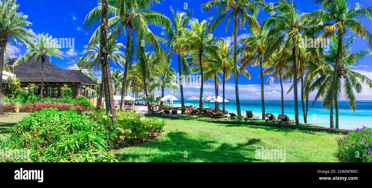 Plage tropicale paradisiaque avec sable blanc et palmiers. Resort de luxe de Belle Mare, île Maurice Banque D'Images