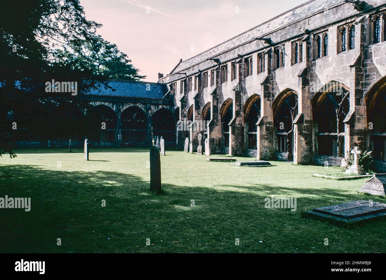 Wells Cathedral est une cathédrale gothique anglicane de Wells, Somerset, en Angleterre, dédiée à St Andrew l'Apôtre. Cloîtres. Numérisation d'archivage à partir d'une lame. Octobre 1975. Banque D'Images