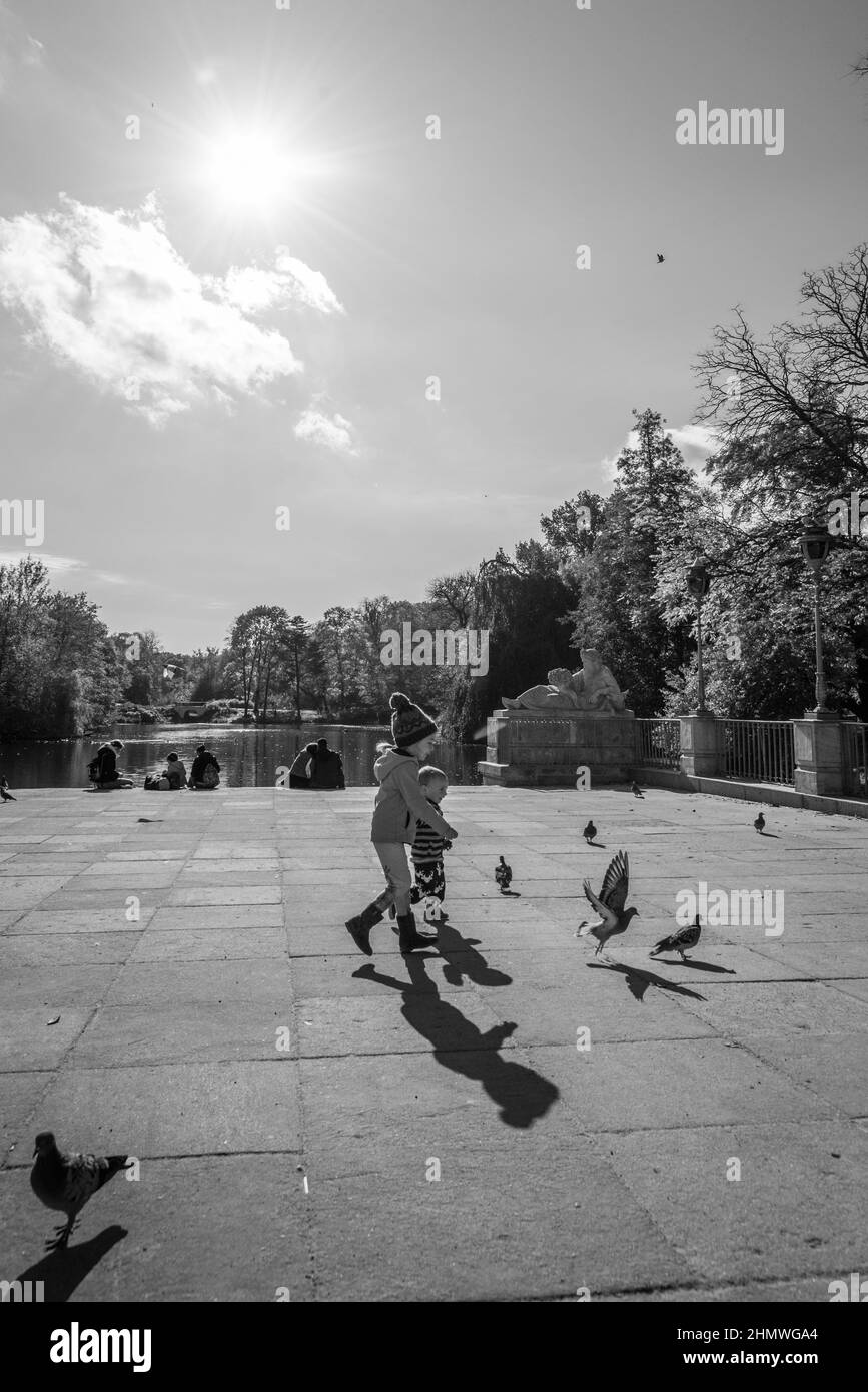 Enfants pourchassant les pigeons dans le parc Banque D'Images