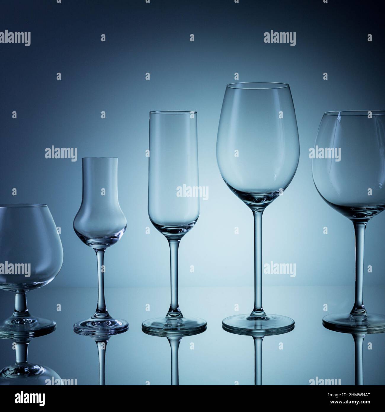 Une rangée de verres de grappa, vin, champagne vides sur fond gris. Prise en Studio avec un 5D Mark III Banque D'Images