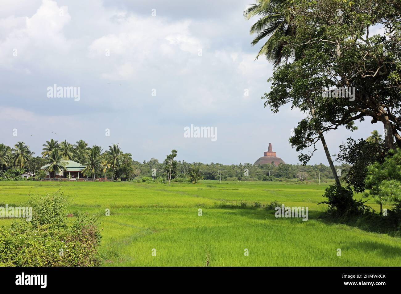 Vue vers Abhayagiri dans la province du centre-nord du Sri Lanka Banque D'Images