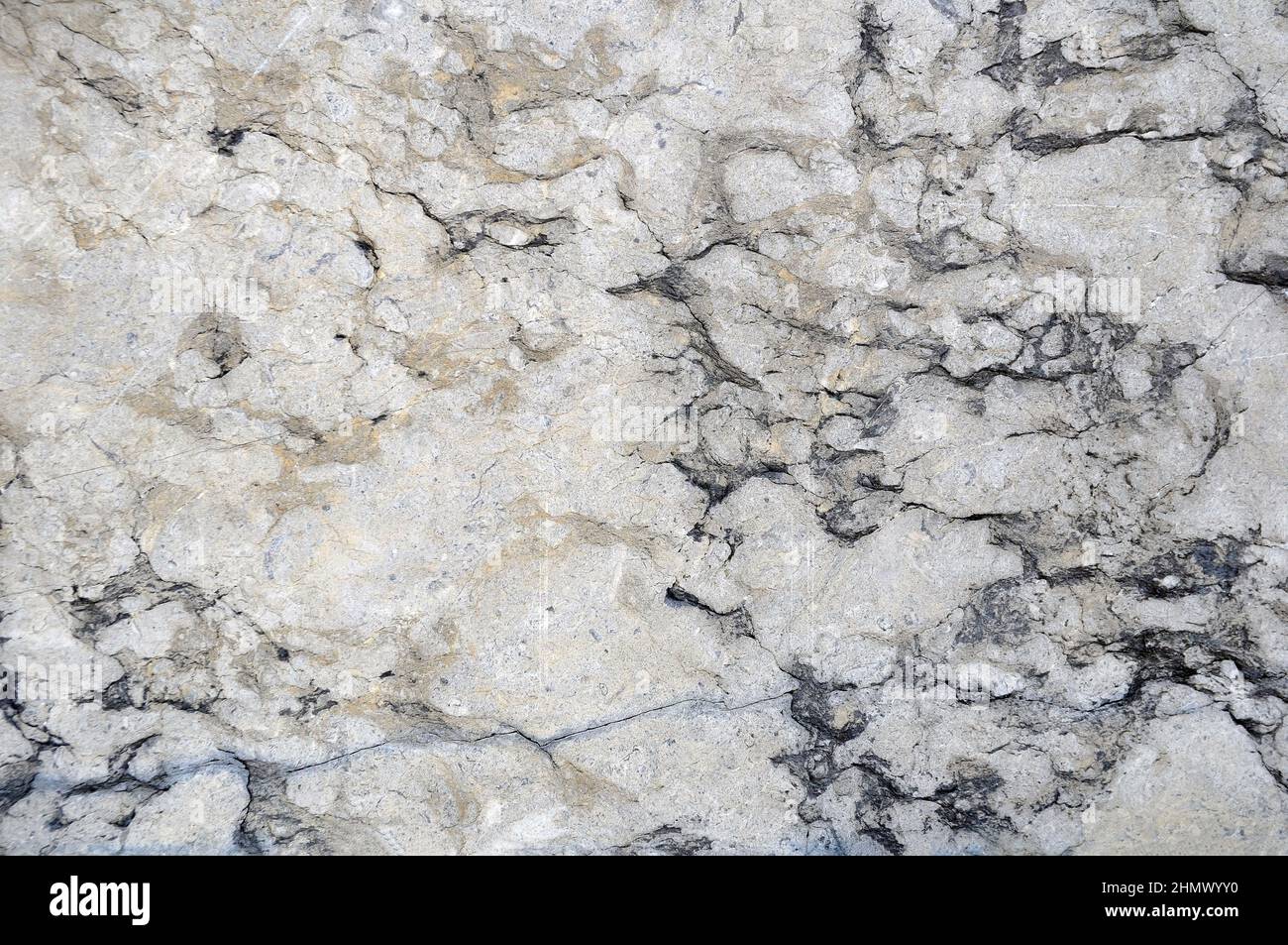 La texture d'un mur de pierre fait de roche de coquille. Décoration murale à partir de matériaux d'origine naturelle. Arrière-plan. Banque D'Images