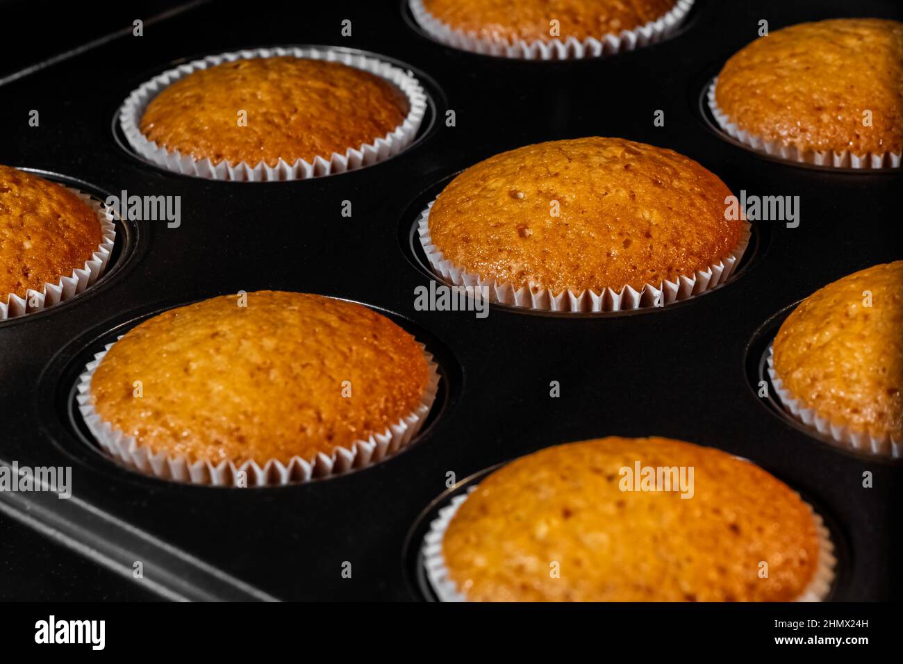 Petits gâteaux cuits, muffins dans un moule à muffins au four électrique - vue rapprochée Banque D'Images