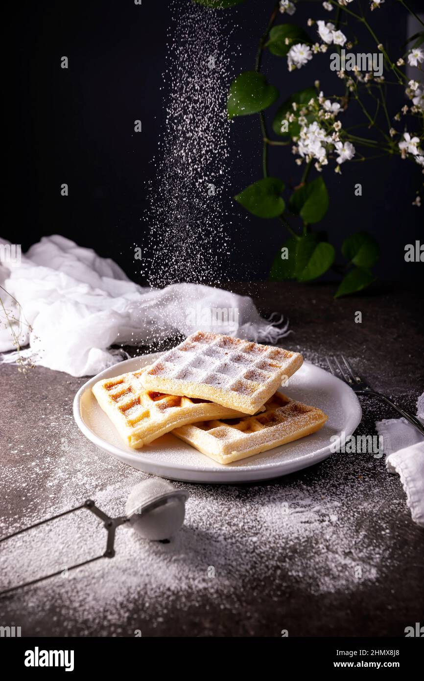 Sucre en poudre tombant sur des gaufres faites maison sur un plat blanc. Banque D'Images