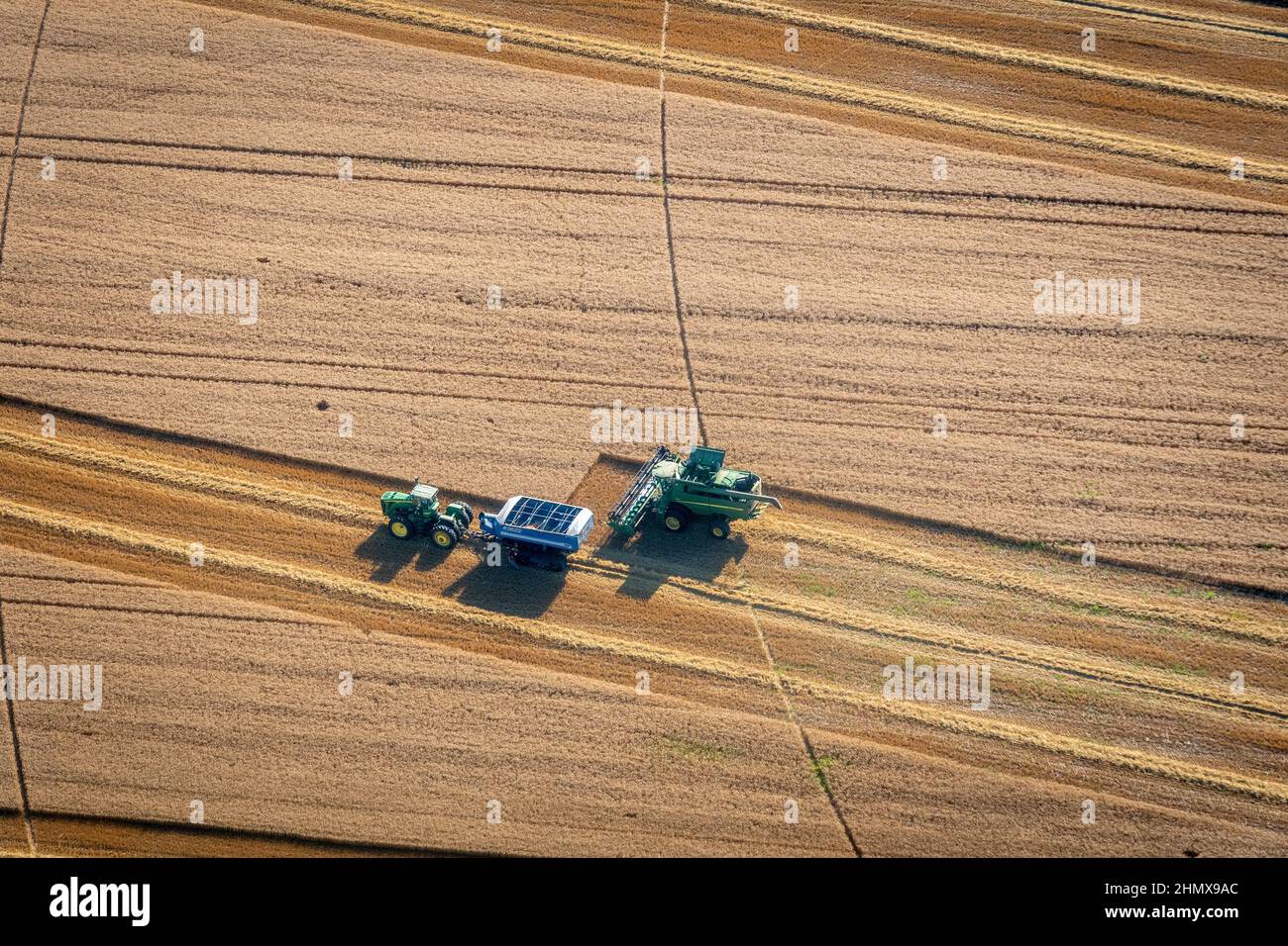 Antenne de terres agricoles le long de la côte est du Maryland Banque D'Images
