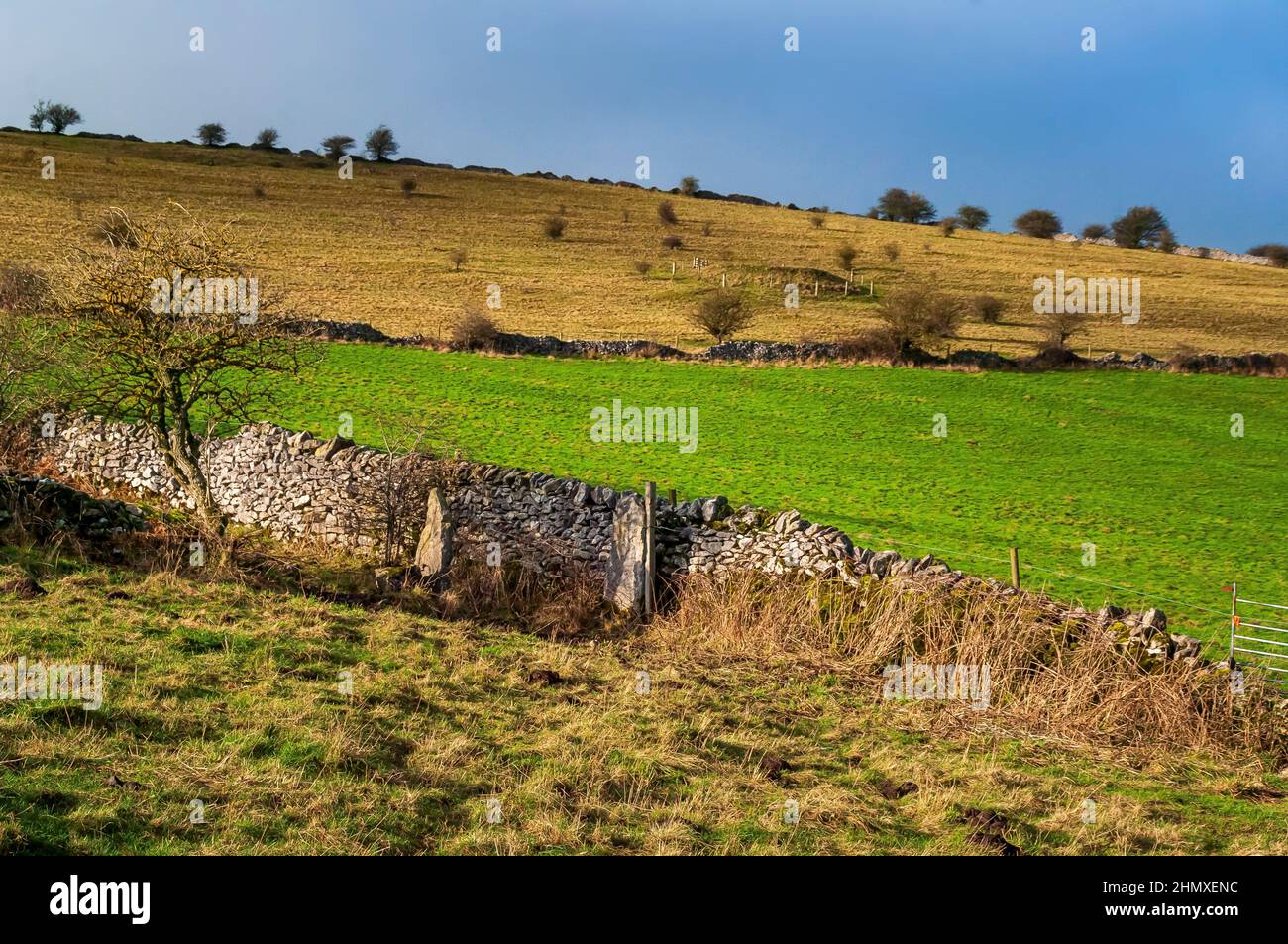 Anciens poteaux de porte en pierre désutilisée à côté des murs en pierre sèche et des pâturages sous le soleil d'hiver à Highfields, au-dessus de Coombs Dale, près de Calver, Derbyshire. Banque D'Images