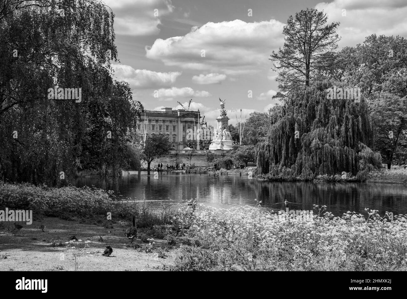 Paysage printanier à St James's Park, Londres avec Buckingham Palace au loin. Un spectacle vraiment chic. Banque D'Images