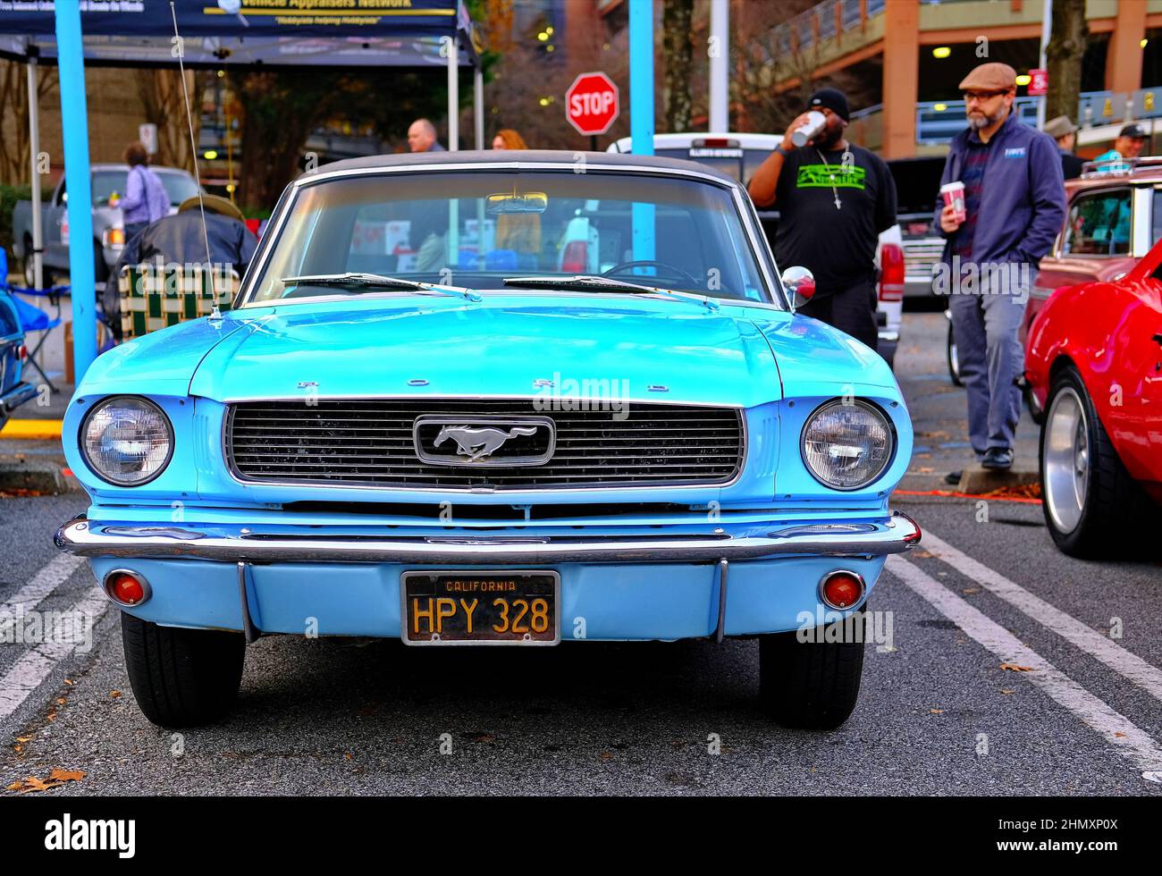 Découvrez la Mustang classique Banque D'Images