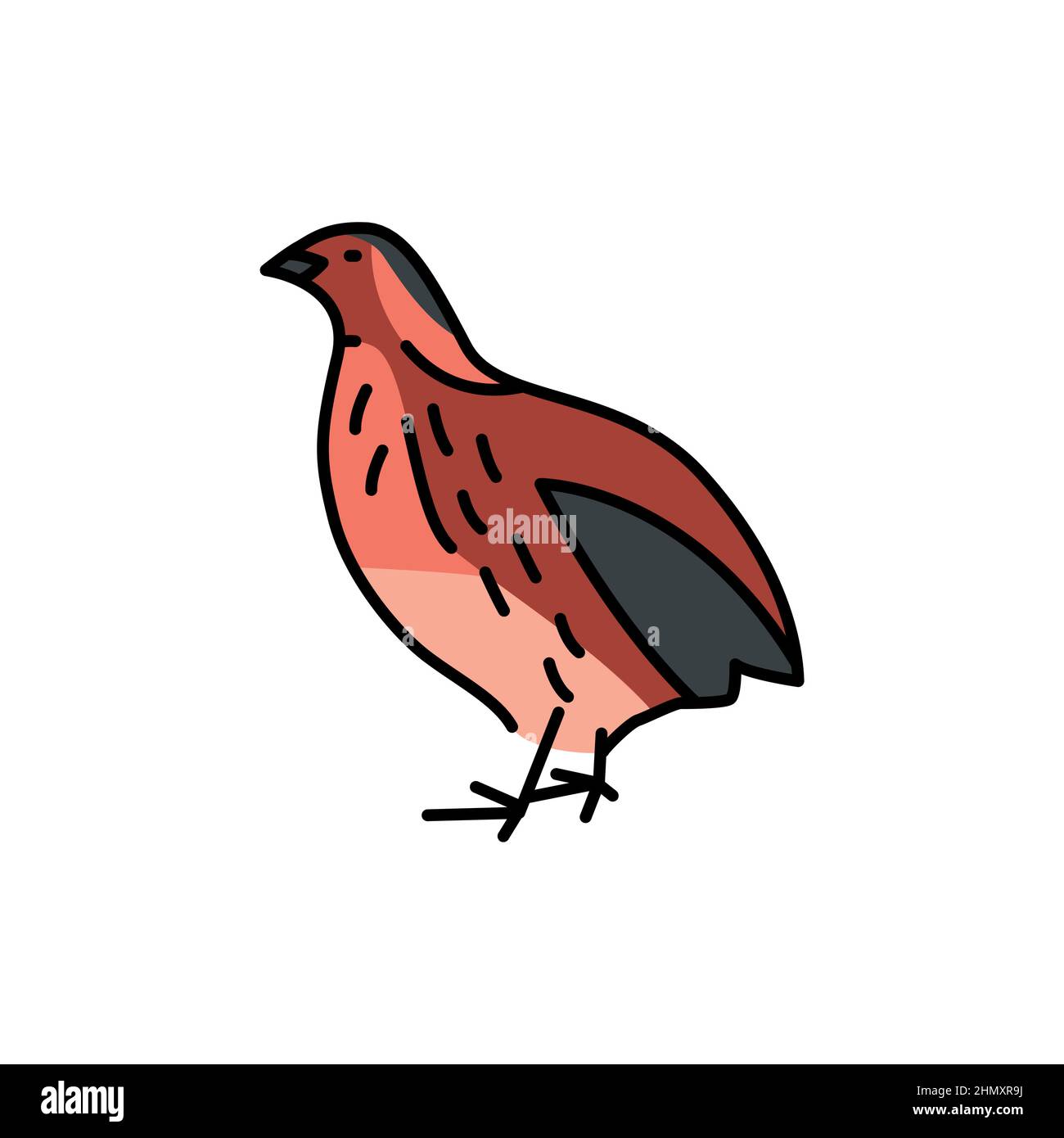 Icône de ligne de couleur d'oiseau de caille. Pictogramme pour page Web, application mobile, Promo. Illustration de Vecteur