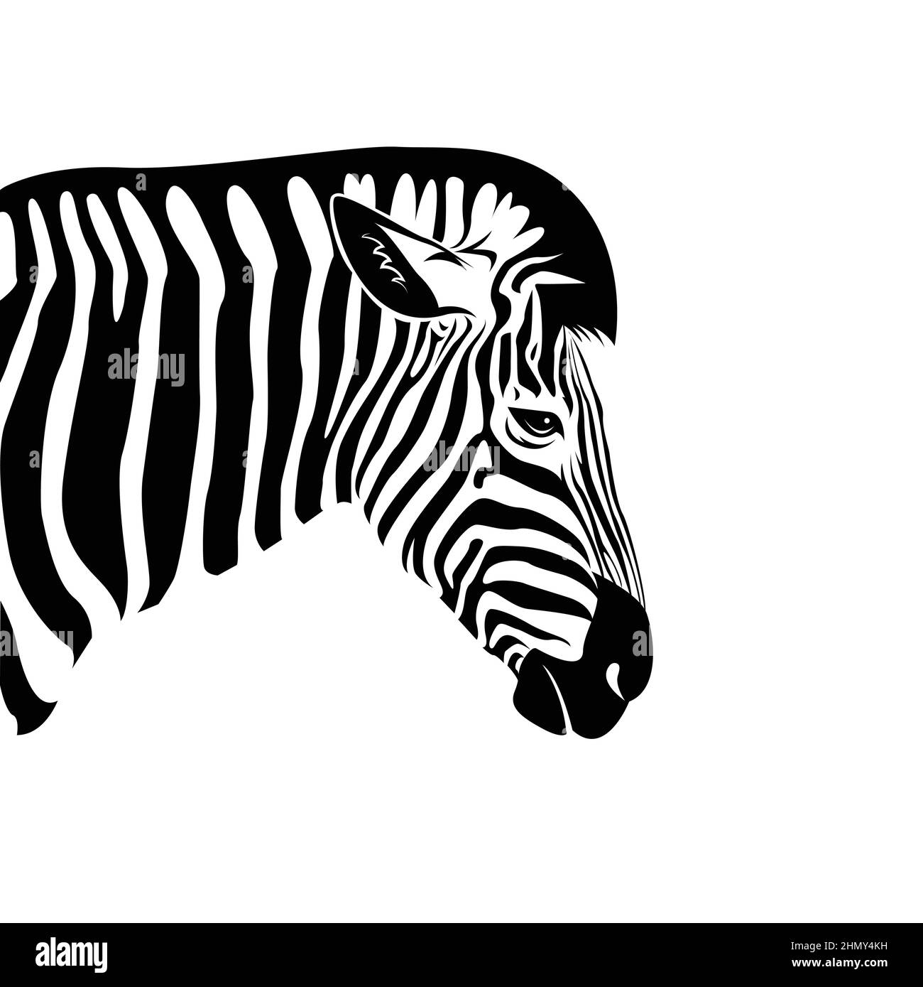 Vecteur de la tête Zebra sur un fond blanc. Animaux sauvages. Illustration vectorielle superposée facile à modifier. Illustration de Vecteur