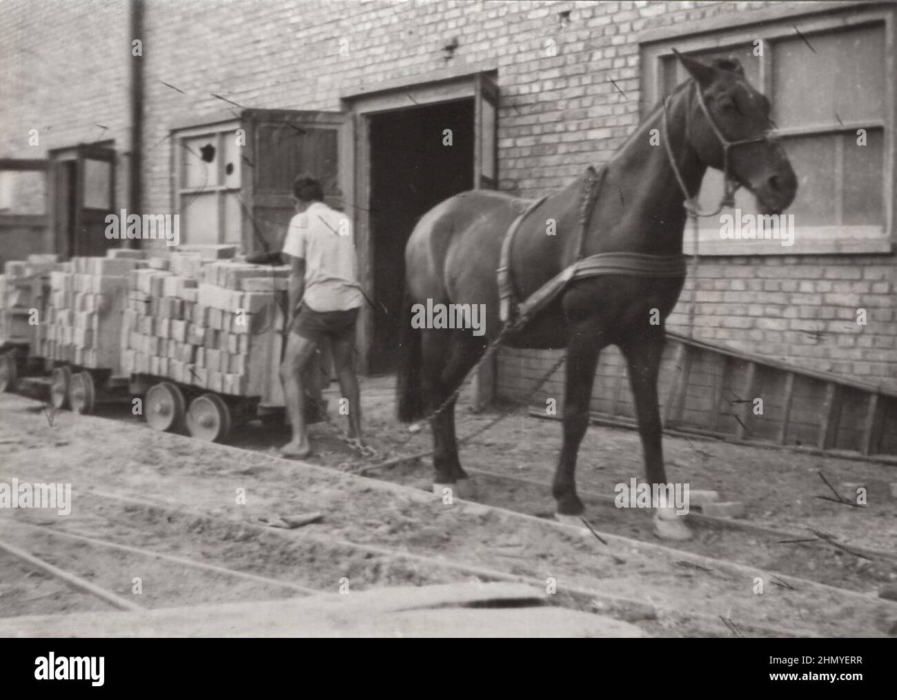 photo vintage de cheval de bataille des années 1930 Un cheval transporte des charrettes pleines de briques. workhorses a dû remorquer ces chariots toute la journée. Quand on est fini le cheval a dû tirer à nouveau ces wagons / chariots source : photographies originales ADDITIONAL-RIGHTS-CLEARANCE-INFO-NOT-AVAILABLE Banque D'Images