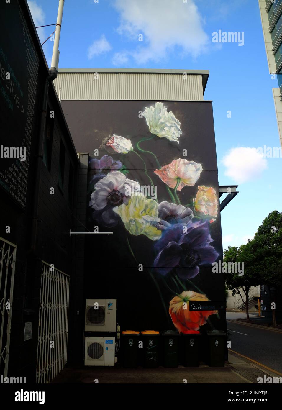 Fresque fleurie à Brisbane, Australie Banque D'Images