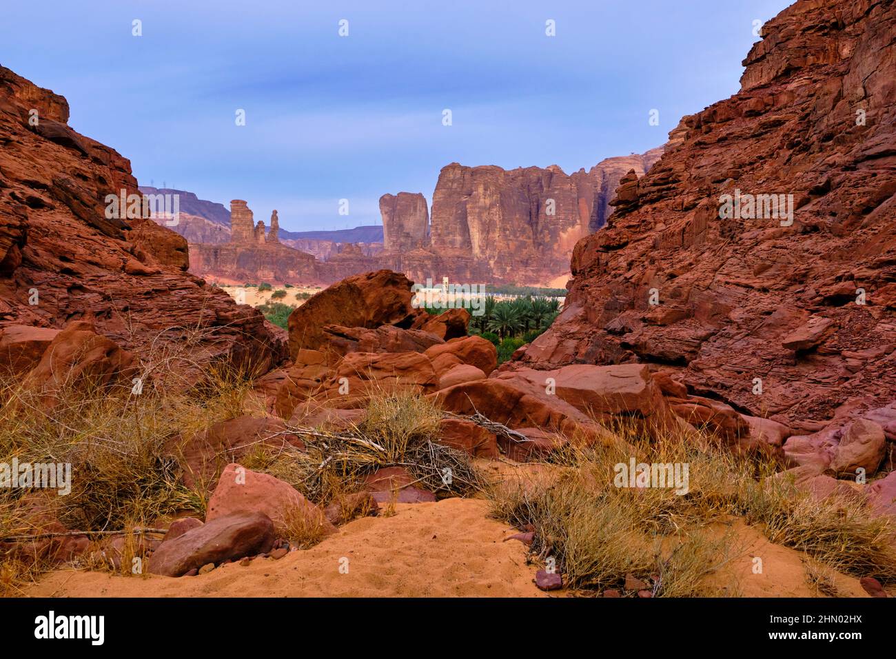 Arabie Saoudite, région d'Al Madinah, Alula ou Al Ula, paysage autour de la ville d'Alula, oasis Banque D'Images