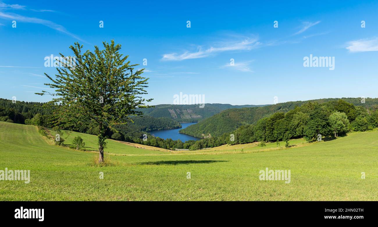 vue sur le lac rur en été dans l'eifel Banque D'Images vue sur le lac rur en été dans l'eifel Banque D'Images