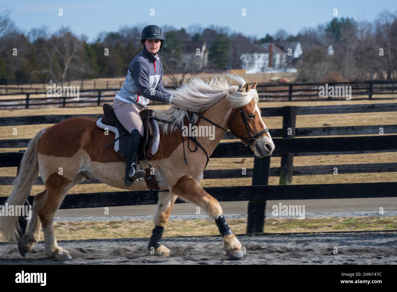 Herndon, Virginie, États-Unis. Une femme vêtue de vêtements anglais habillés pour l'équitation est assise à cheval. Banque D'Images