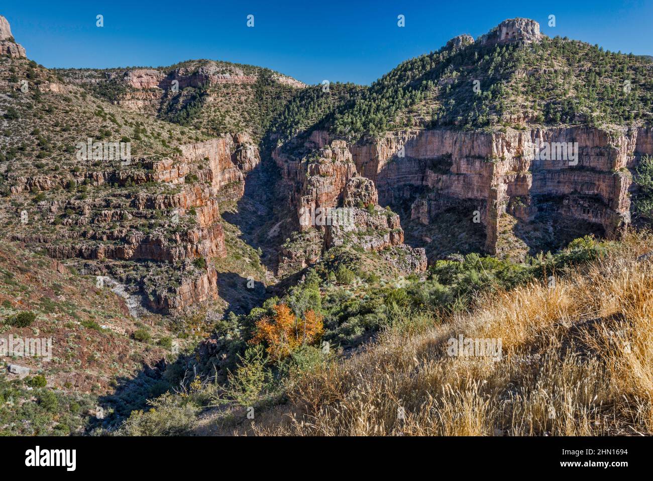 Formations rocheuses à Salt River Canyon, vue depuis Becker Butte Lookout, US route 60, réserve indienne de fort Apache, Eastern High Country, Arizona, États-Unis Banque D'Images