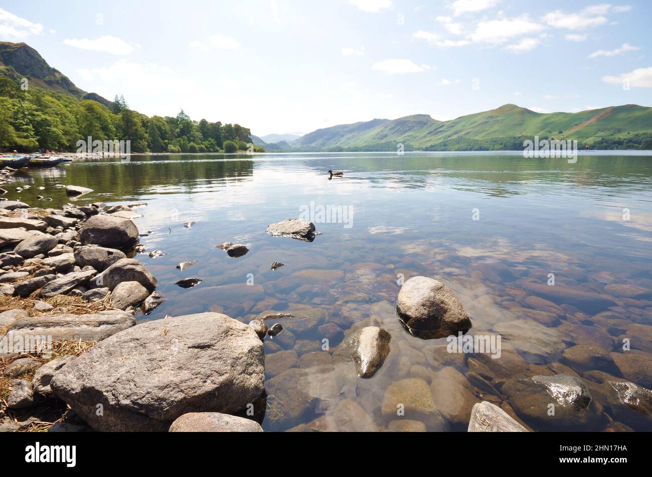 Vue sur l'eau et les rochers avec canard en avant-plan de la baie de Calfclose, Derwentwater, Lake District, Royaume-Uni. Banque D'Images