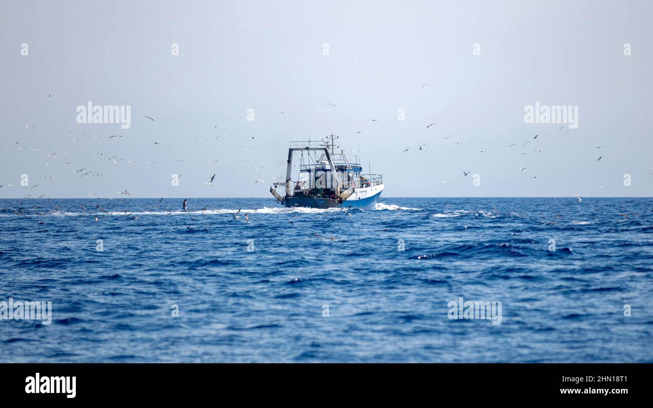 Bateau de pêche navigue dans la mer ondulée de la mer Égée. Le bras de mouette suit un chalutier à la recherche de nourriture, fond bleu ciel. Cyclades Grèce. Banque D'Images