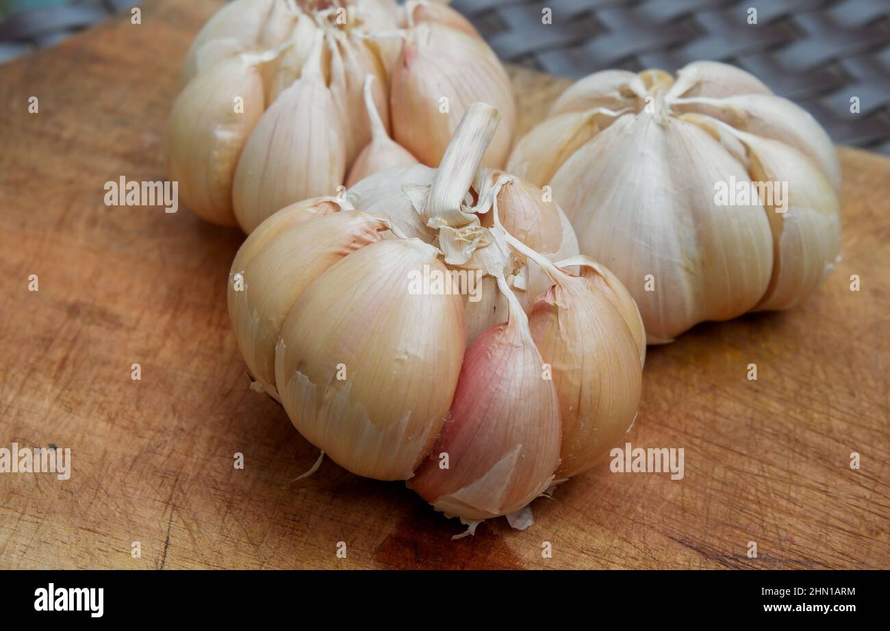 ail. gousses d'ail. épluchez la gousse d'ail. L'ail est l'une des principales épices de la cuisine indonésienne Banque D'Images