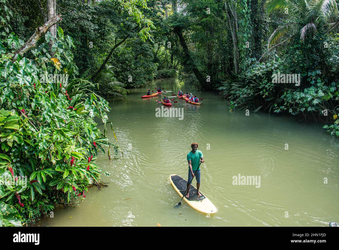 Kayak et promenade en bateau dans la jungle, Puerto Viejo, Costa Rica Banque D'Images