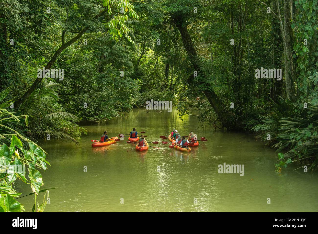 Kayak dans la jungle, Puerto Viejo, Costa Rica Banque D'Images
