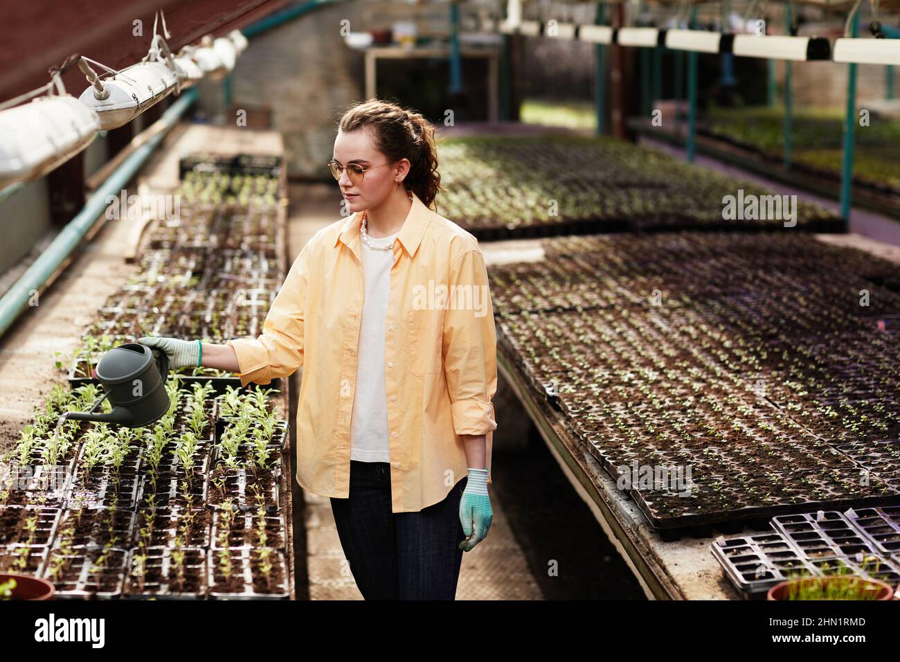 Jardinier féminin contemporain avec arrosoir verser de l'eau dans de petits pots en plastique avec du sol où les semis verts poussent Banque D'Images