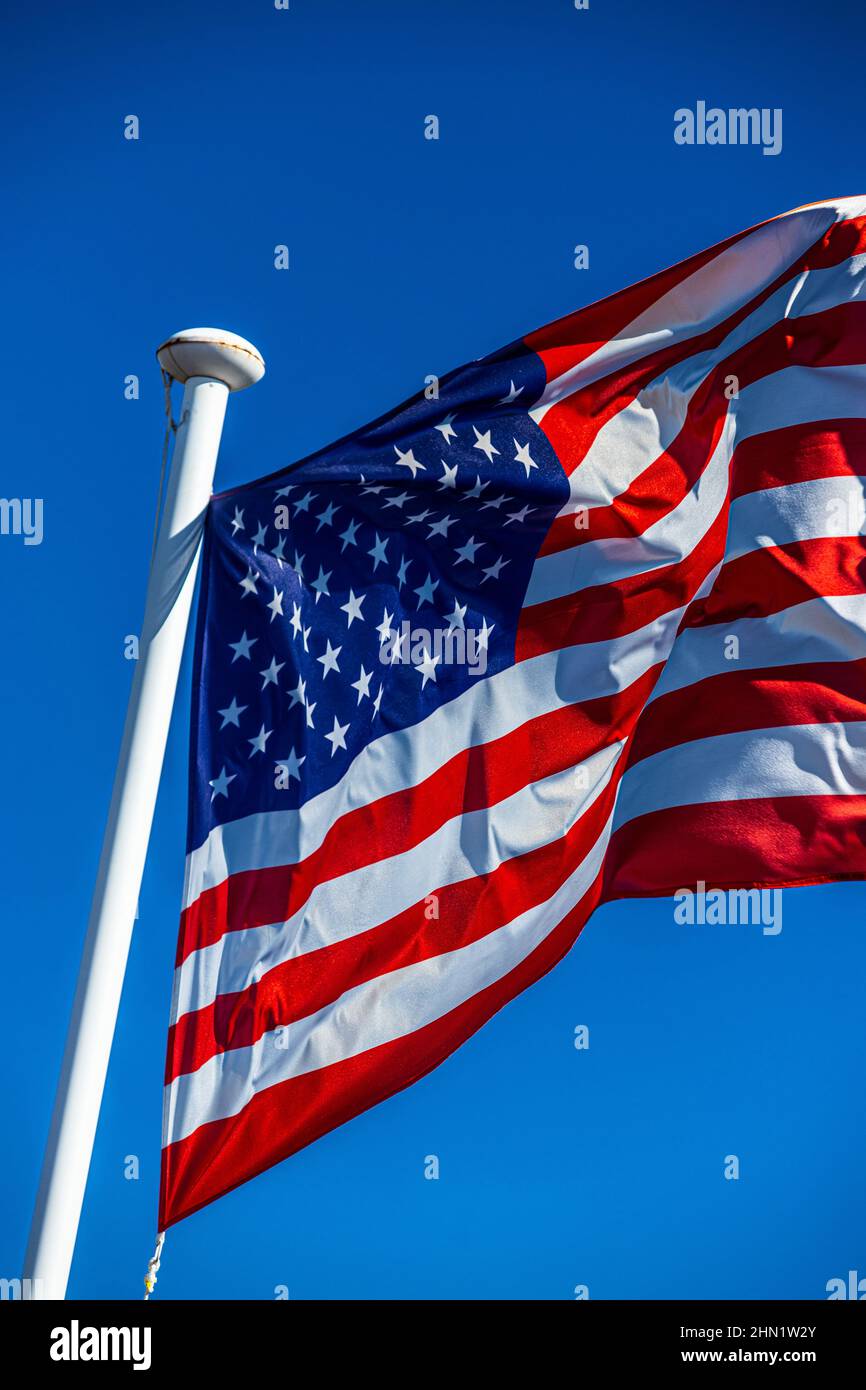 Drapeau des États-Unis d'Amérique Banque D'Images