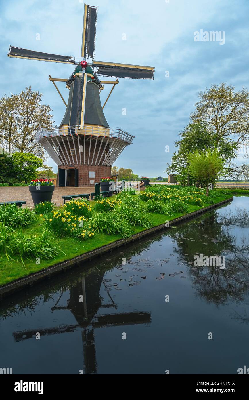 Charmant moulin à vent en bois sur le front de mer fleuri dans le magnifique jardin de Keukenhof, Lisse, pays-Bas, Europe Banque D'Images