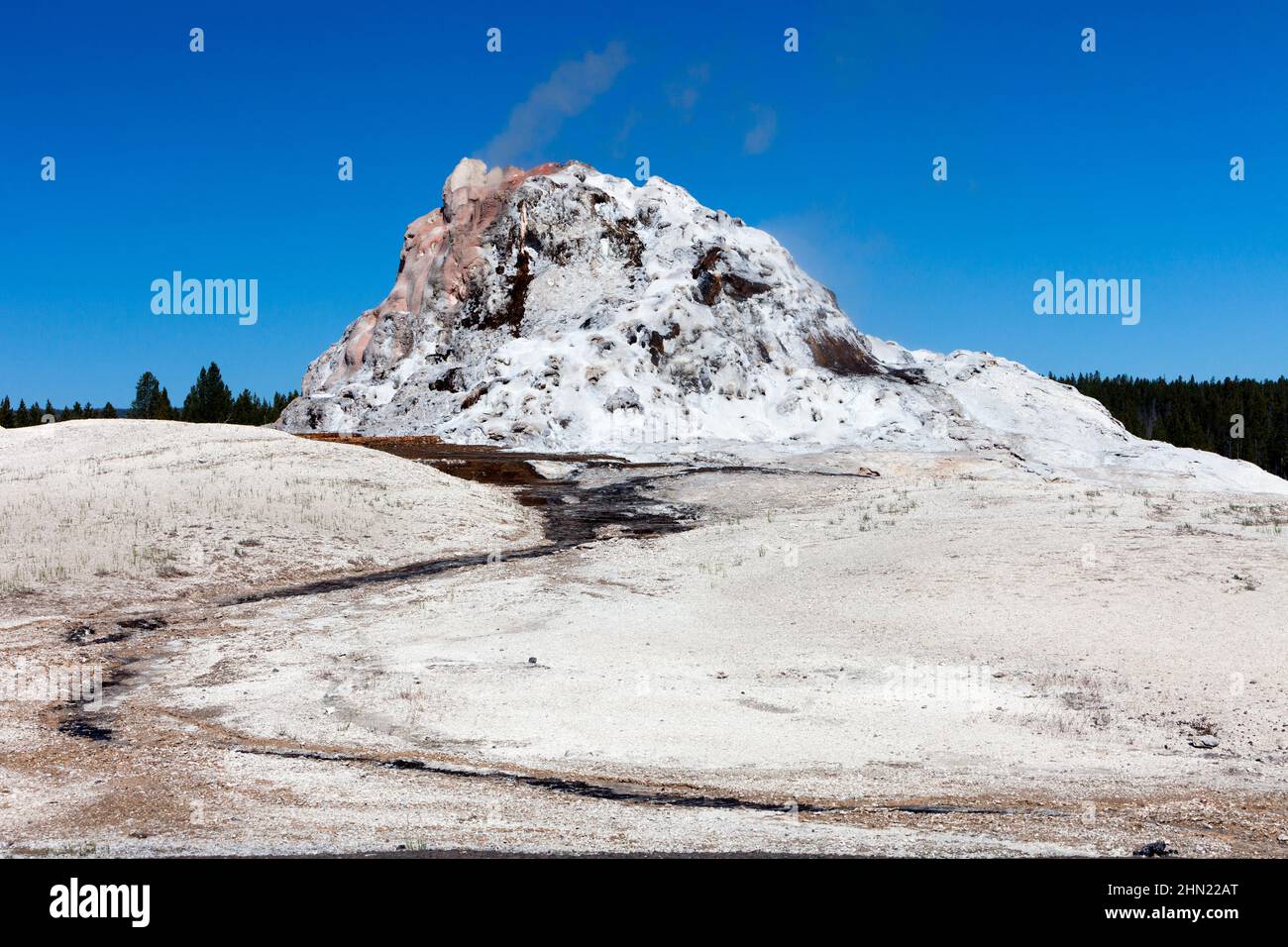 Éruption de White Dome Geyser, sur Firehole Lake Drive, parc national de Yellowstone, Wyoming, États-Unis Banque D'Images