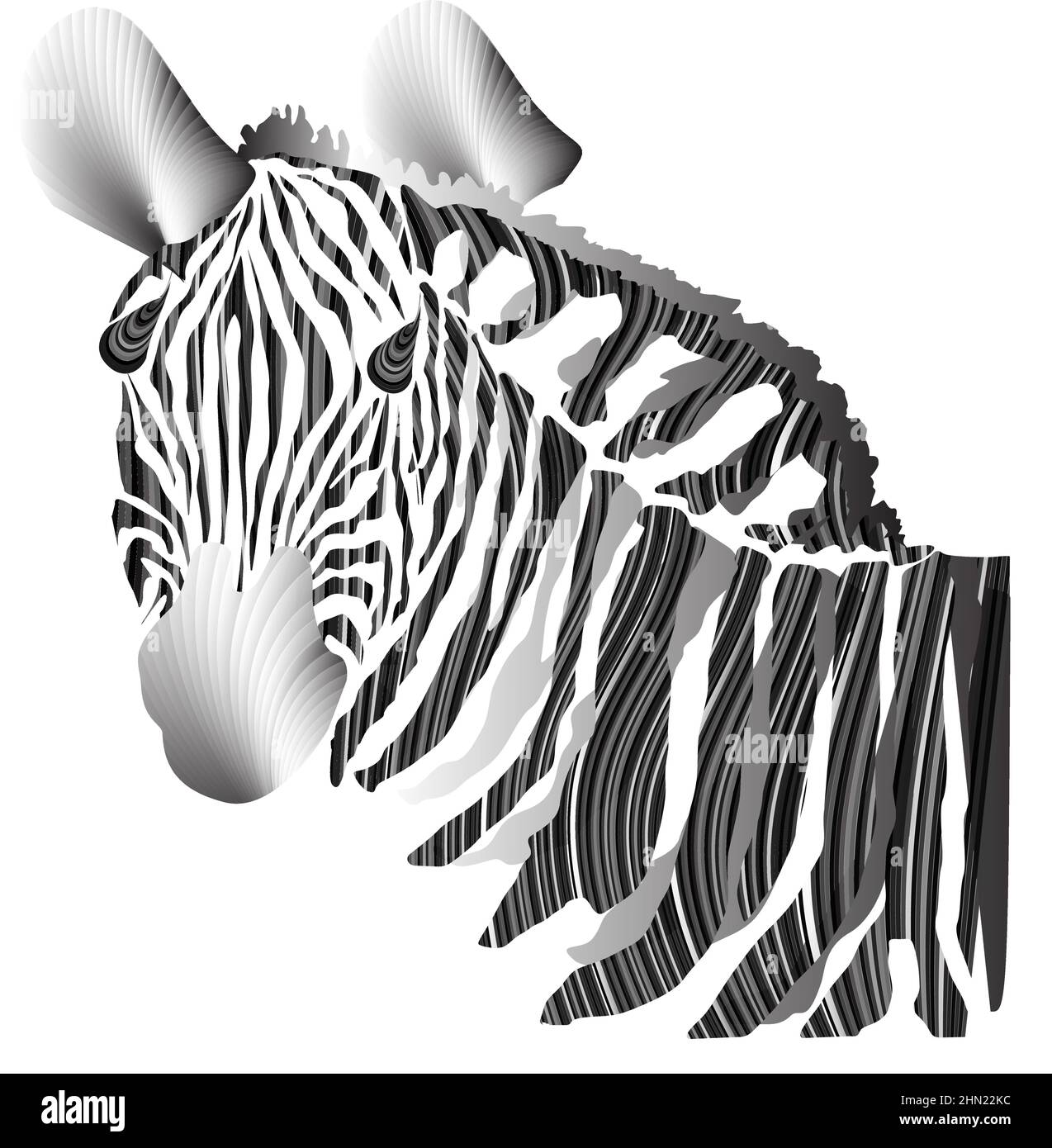 Isolaten animal zébré sur fond blanc, illustration vectorielle Illustration de Vecteur