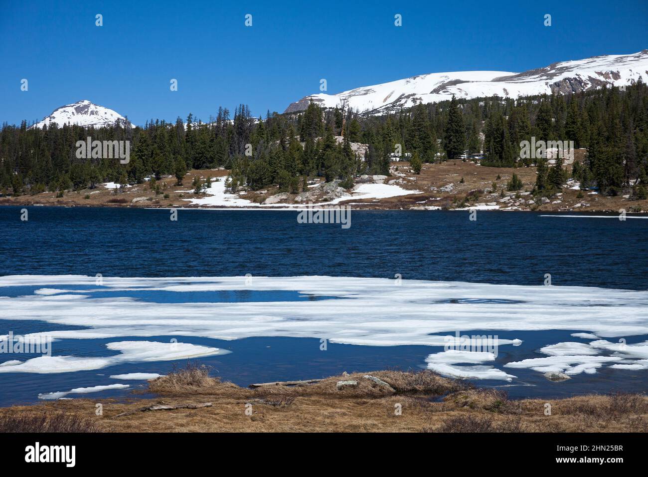 Little Bear Lake, Beartooth Highway, Montana, États-Unis Banque D'Images