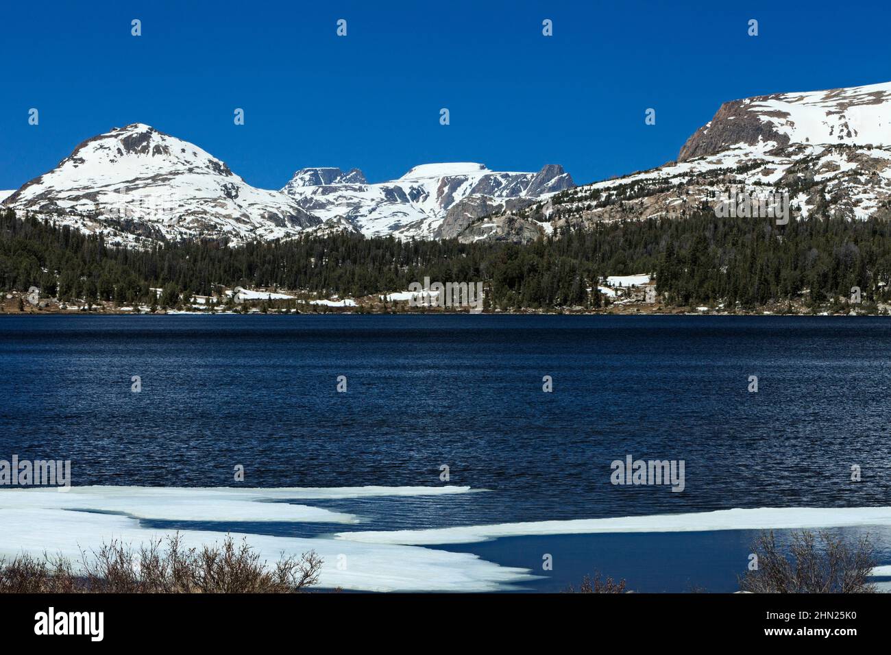 Island Lake, Shoshone National Forest Area, Beartooth Highway, Montana, Shoshone, États-Unis Banque D'Images